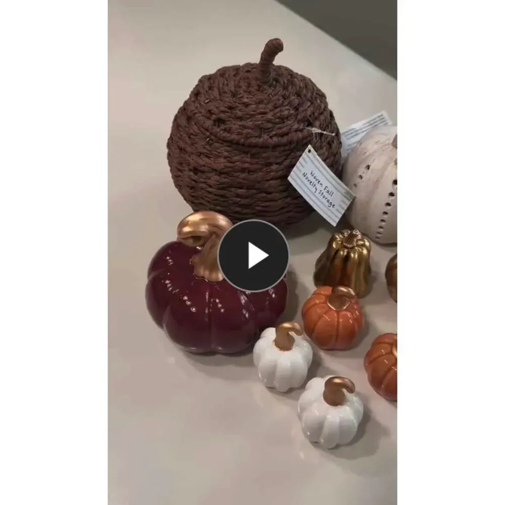 Woven Fall Novelty Storage Pumpkin